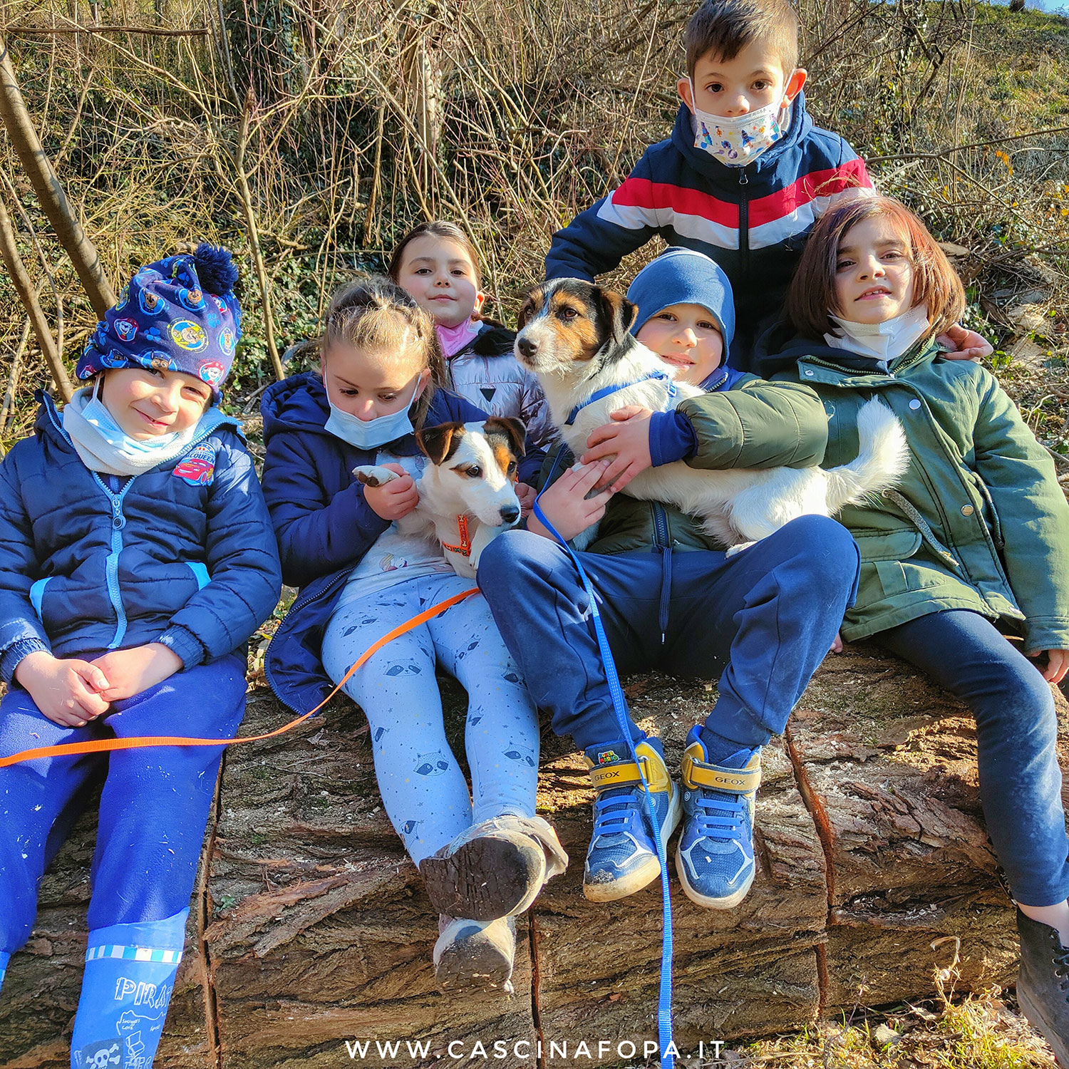 bambini a passeggio con cani