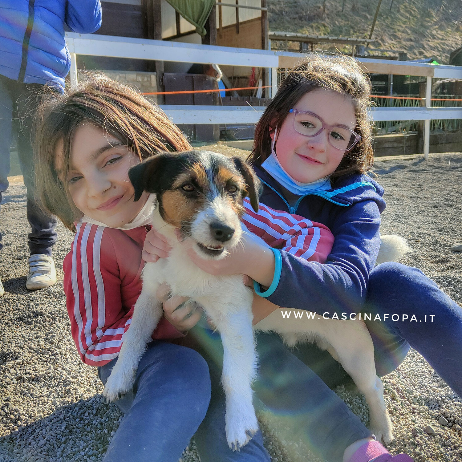 australian shepherd jack russell agriturismo bambini provincia di bergamo