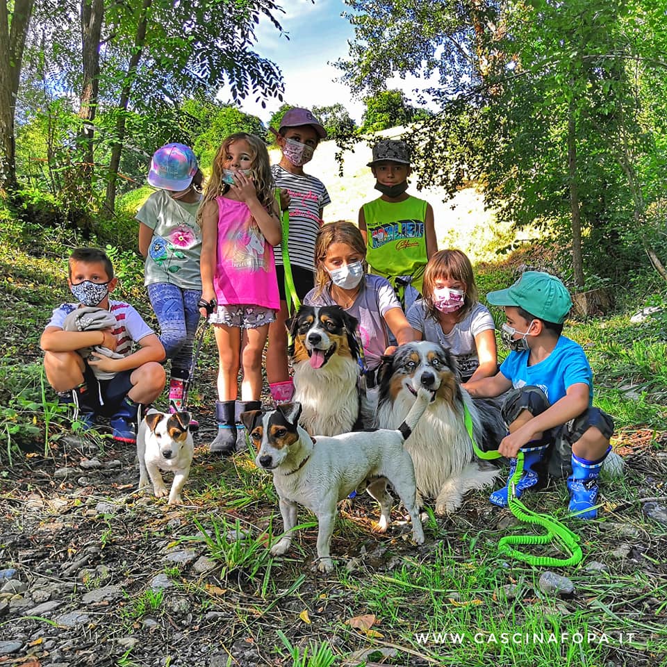 australian shepherd jack russell agriturismo bambini provincia di bergamo