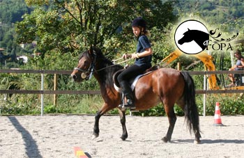 pony maneggio