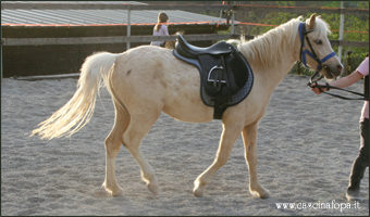 pony bambini berzo san fermo