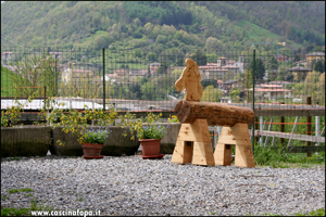 vendita haflinger