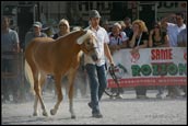 modernoe sportivo
