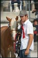 haflinger moderno