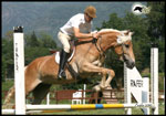 sport ostacoli haflinger italia