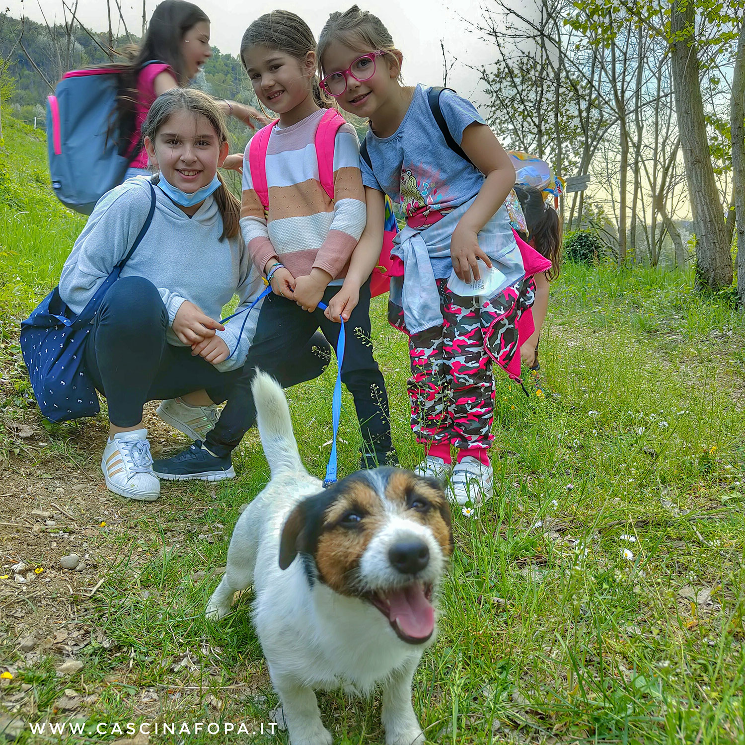 jack russell bambini