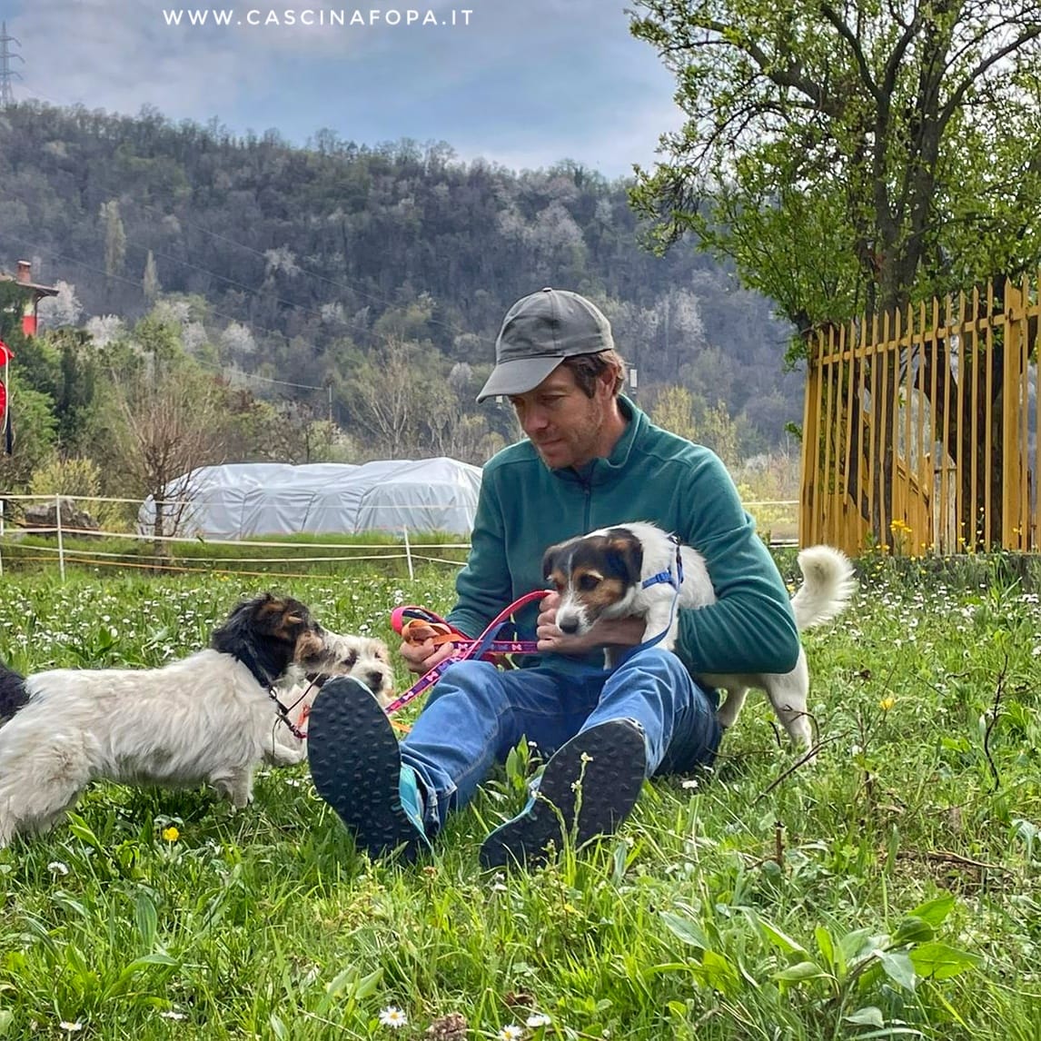 jack russell giochi