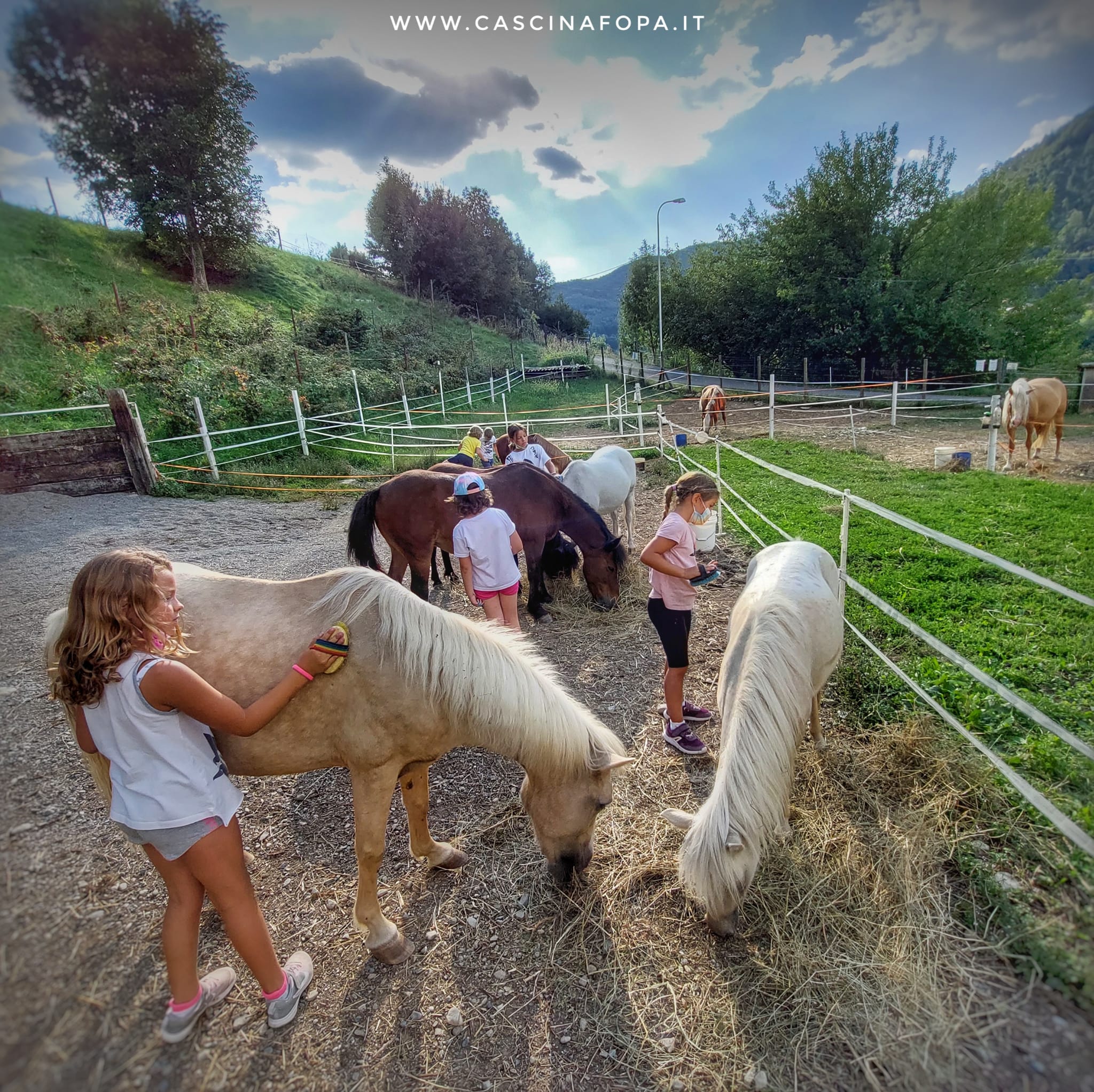 passeggiata nel bosco con pony e bambini