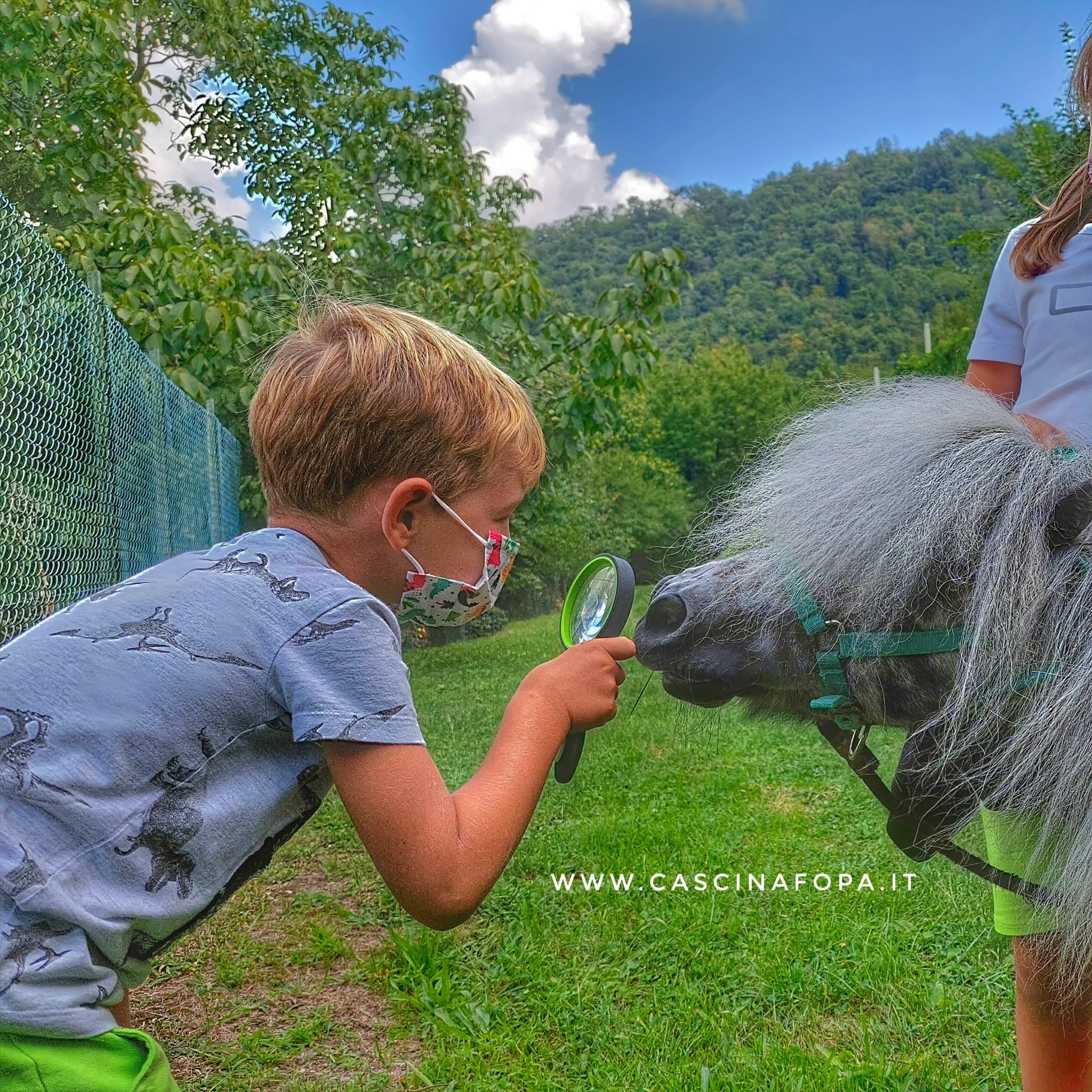 pony mini appaloosa