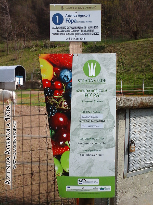 azienda agricola f�pa