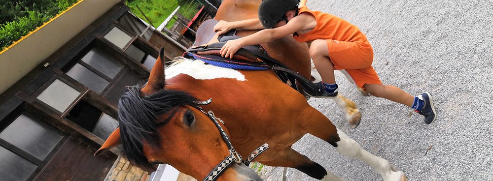 equitazione bambini
