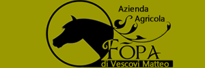 cascina fopa cavalli e pony