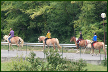 maneggio pony berzo san fermo