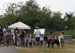 pony per feste a domicilio