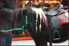 pony fantastici