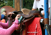 avvicinamento pony