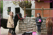 avvicinamento pony