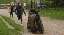 pony per bambini