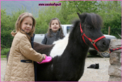 maneggio pony