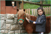 lezioni bambini pony