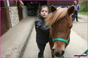 piccoli pony