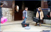 bambini con pony bergamo
