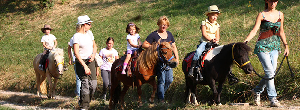 pony mini appaloosa